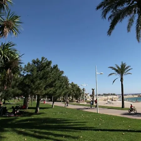 T1 De 30 M2 En Rez De * Toulon