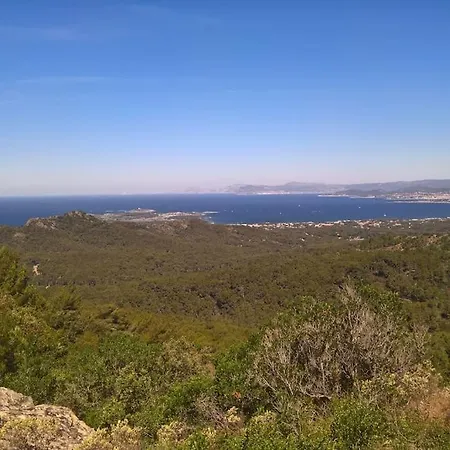 T1 De 30 M2 En Rez De * Toulon