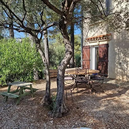 T1 De 30 M2 En Rez De Toulon